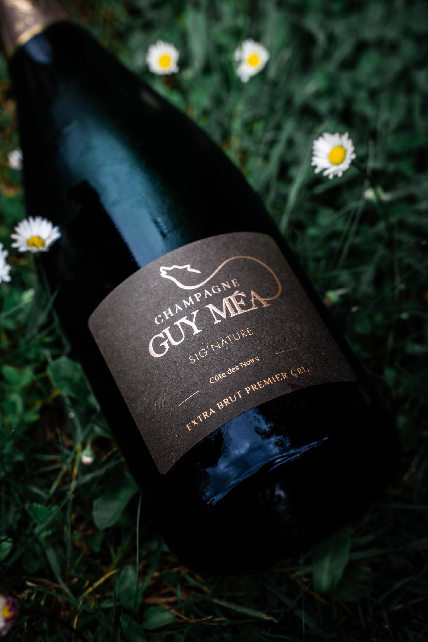 Sig’nature - Champagne Guy Mea